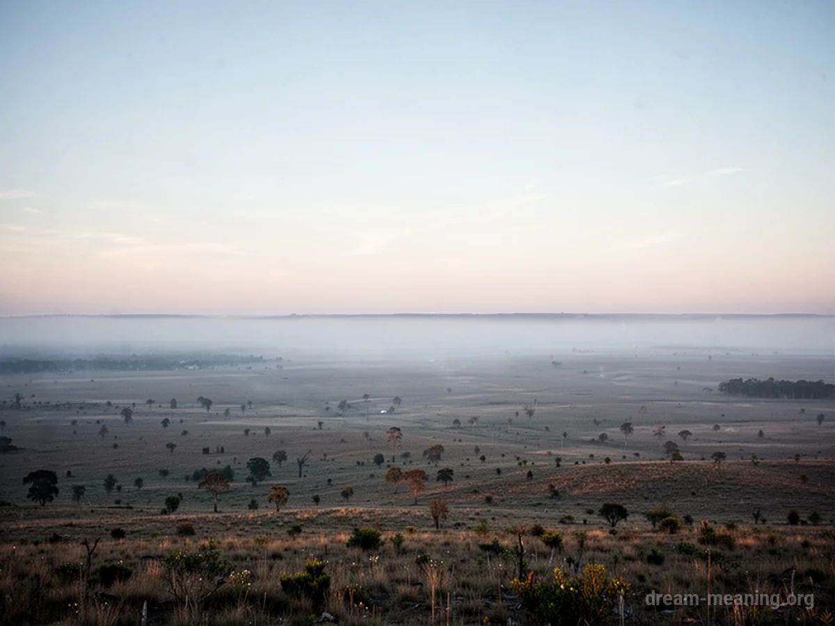 A wide, unobstructed view of the horizon where the sky meets the land or sea.