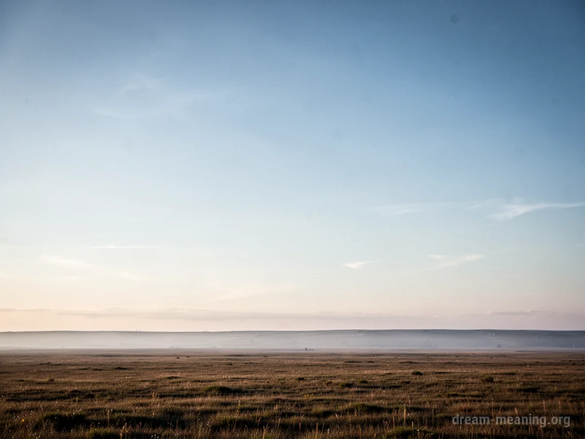 A wide, unbroken horizon line under a pale sky.