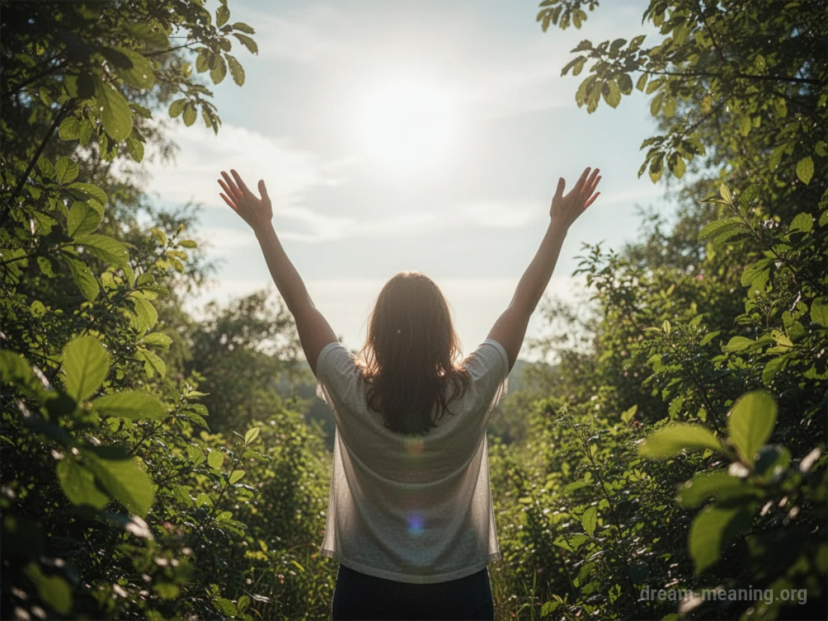 Silhouette of a person with arms outstretched towards a radiant sun above a lush green landscape.