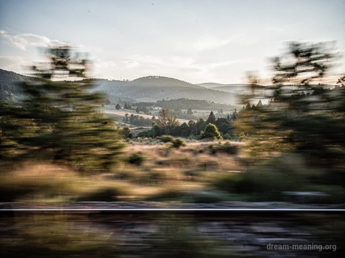 Blurred landscape seen from a moving perspective.
