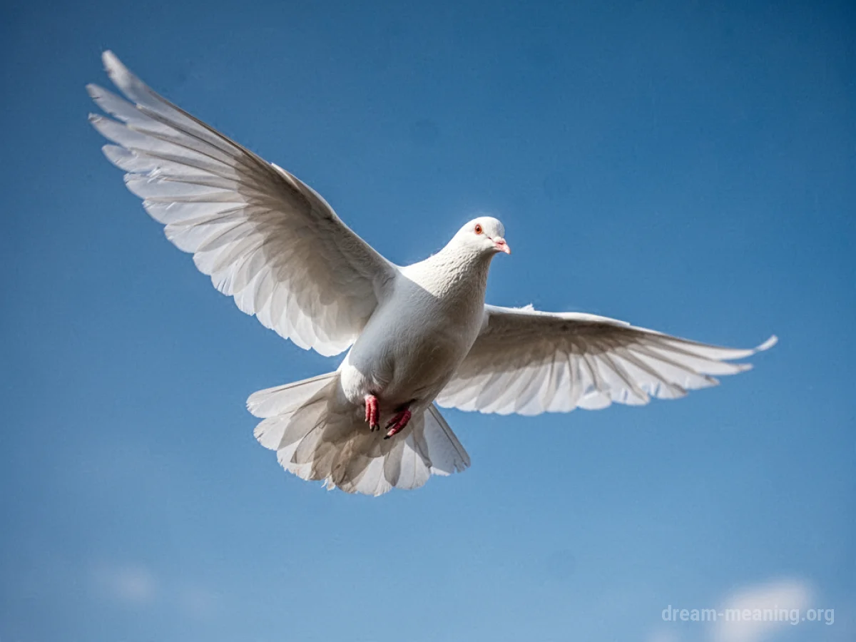 A white pigeon flying in a clear blue sky.