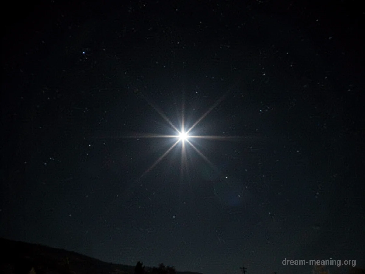 A bright star shining in the darkness.